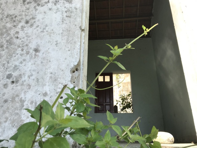 Đìu hiu làng biệt thự giữa đại ngàn - 5 Đìu hiu làng biệt thự giữa đại ngàn - 5