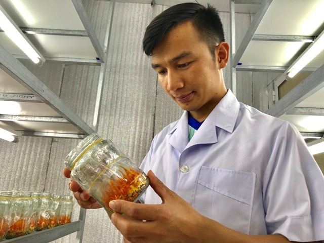 Thanh Hoá: Bỏ lương 14 triệu/tháng về quê trồng “siêu nấm” kiếm 500 triệu đồng/năm - 1 Thanh Hoá: Bỏ lương 14 triệu/tháng về quê trồng “siêu nấm” kiếm 500 triệu đồng/năm - 1