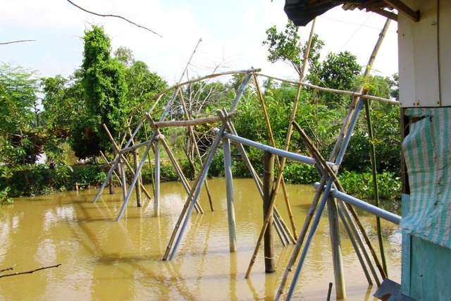 Những hình ảnh thân thương tại nhà Đại tá phi công Nguyễn Văn Bảy - 3 Những hình ảnh thân thương tại nhà Đại tá phi công Nguyễn Văn Bảy - 3
