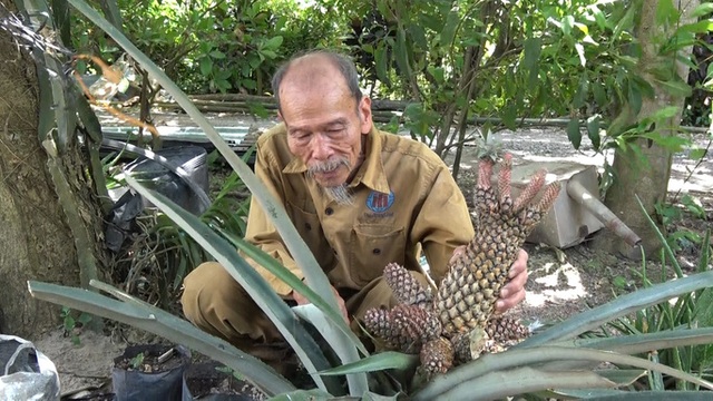 Những hình ảnh thân thương tại nhà Đại tá phi công Nguyễn Văn Bảy - 5 Những hình ảnh thân thương tại nhà Đại tá phi công Nguyễn Văn Bảy - 5