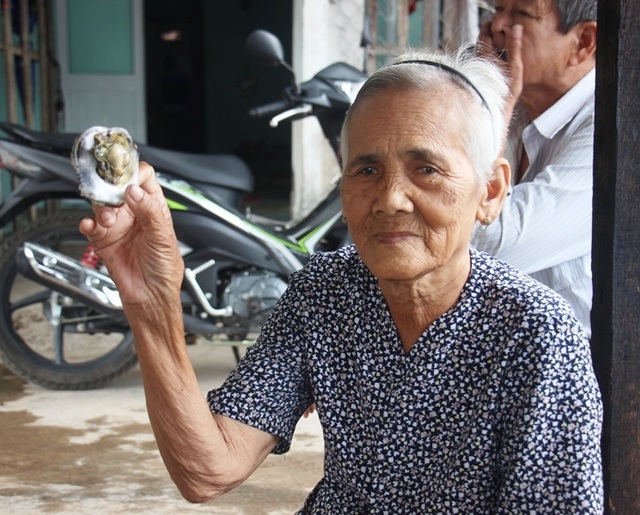Bình Định “tuýt còi” dự án Thị Nại Eco Bay hút cát chưa phép - 2 Bình Định “tuýt còi” dự án Thị Nại Eco Bay hút cát chưa phép - 2