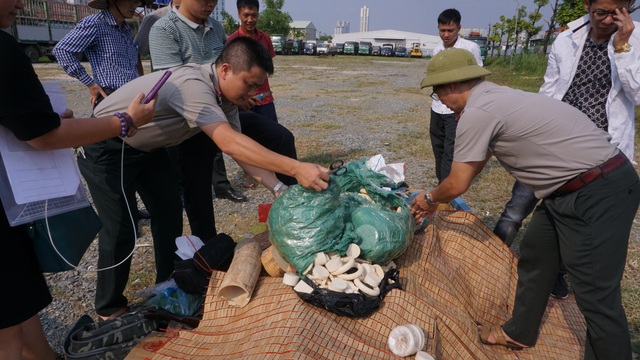 Hà Nội: Tiêu hủy 82 kg sản phẩm từ ngà voi - 1 Hà Nội: Tiêu hủy 82 kg sản phẩm từ ngà voi - 1