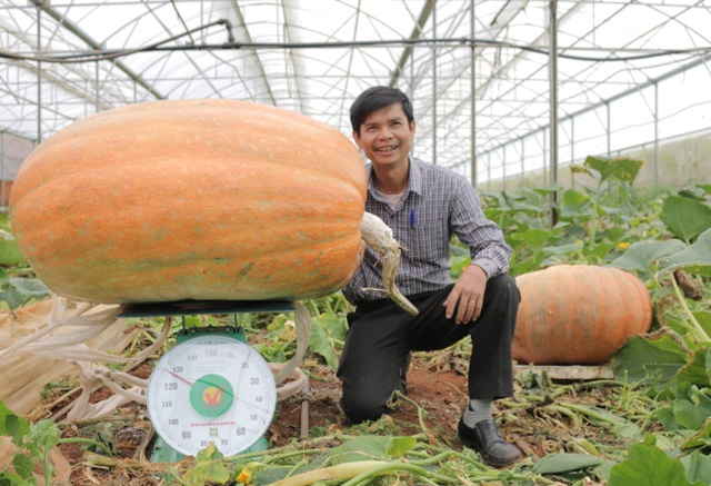 Kỳ lạ, quả bí ngô hơn 1 tạ, quả sầu riêng hơn 1 tỷ đồng - 1 Kỳ lạ, quả bí ngô hơn 1 tạ, quả sầu riêng hơn 1 tỷ đồng - 1