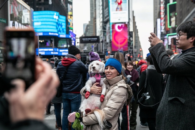 "Bữa tiệc" pháo hoa đón năm mới 2019 trên toàn thế giới - 4
(Ảnh: Reuters)