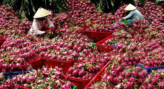 Một thay đổi lớn từ Trung Quốc: Lời cảnh báo gửi tới Việt Nam - Ảnh 2. Một thay đổi lớn từ Trung Quốc: Lời cảnh báo gửi tới Việt Nam - Ảnh 2.