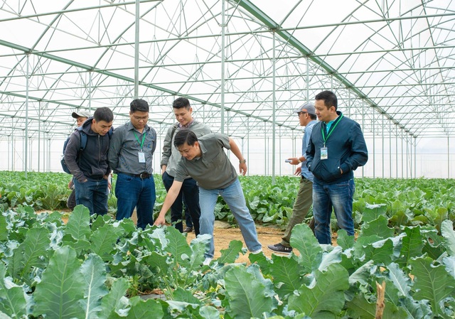 Hợp tác với Vineco, hơn 800 hộ nông dân tham gia chuỗi sản xuất nông sản sạch - Ảnh 2. Hợp tác với Vineco, hơn 800 hộ nông dân tham gia chuỗi sản xuất nông sản sạch - Ảnh 2.