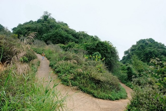Sắc trắng hoa mơ, hoa mận níu chân du khách khi đến Mộc Châu - Ảnh 4. Sắc trắng hoa mơ, hoa mận níu chân du khách khi đến Mộc Châu - Ảnh 4.