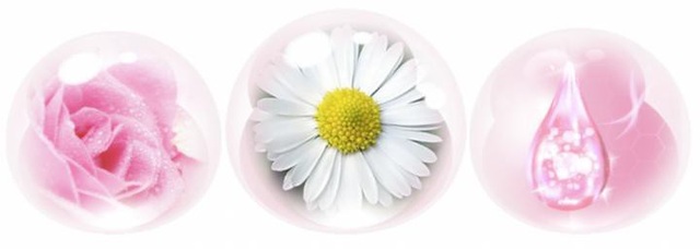 Lão hóa da vùng kín – Nỗi niềm chẳng của riêng ai - Ảnh 2. Lão hóa da vùng kín – Nỗi niềm chẳng của riêng ai - Ảnh 2.