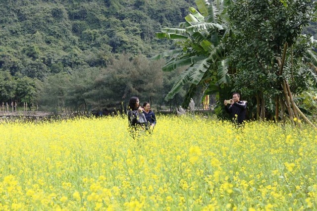 Du khách ùn ùn kéo đến “check in” vườn hoa cải rực vàng ở Ninh Bình - 15 Lưu lại những khoảnh khắc đáng nhớ trong ngày đầu năm ghé đến Thung Nham.