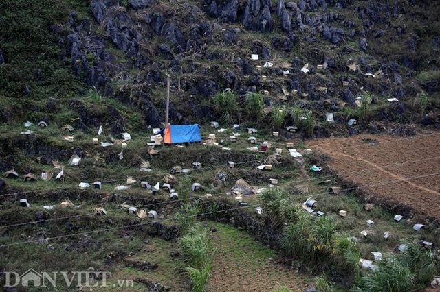 Nghề lạ ở Hà Giang: Nuôi ong trên đá - 12 Nghề lạ ở Hà Giang: Nuôi ong trên đá - 12
