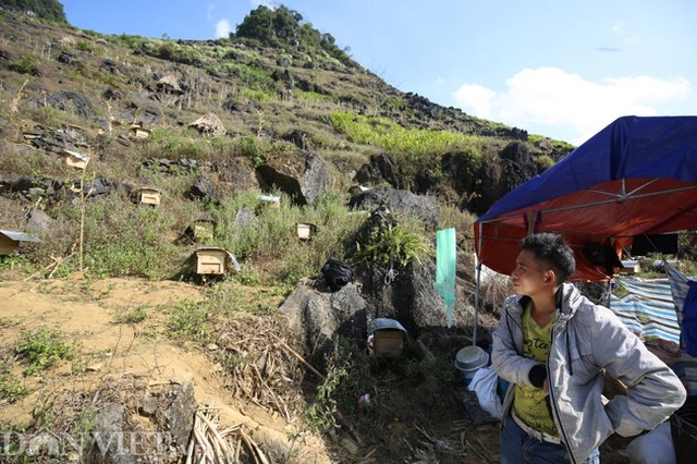 Nghề lạ ở Hà Giang: Nuôi ong trên đá - 7 Nghề lạ ở Hà Giang: Nuôi ong trên đá - 7