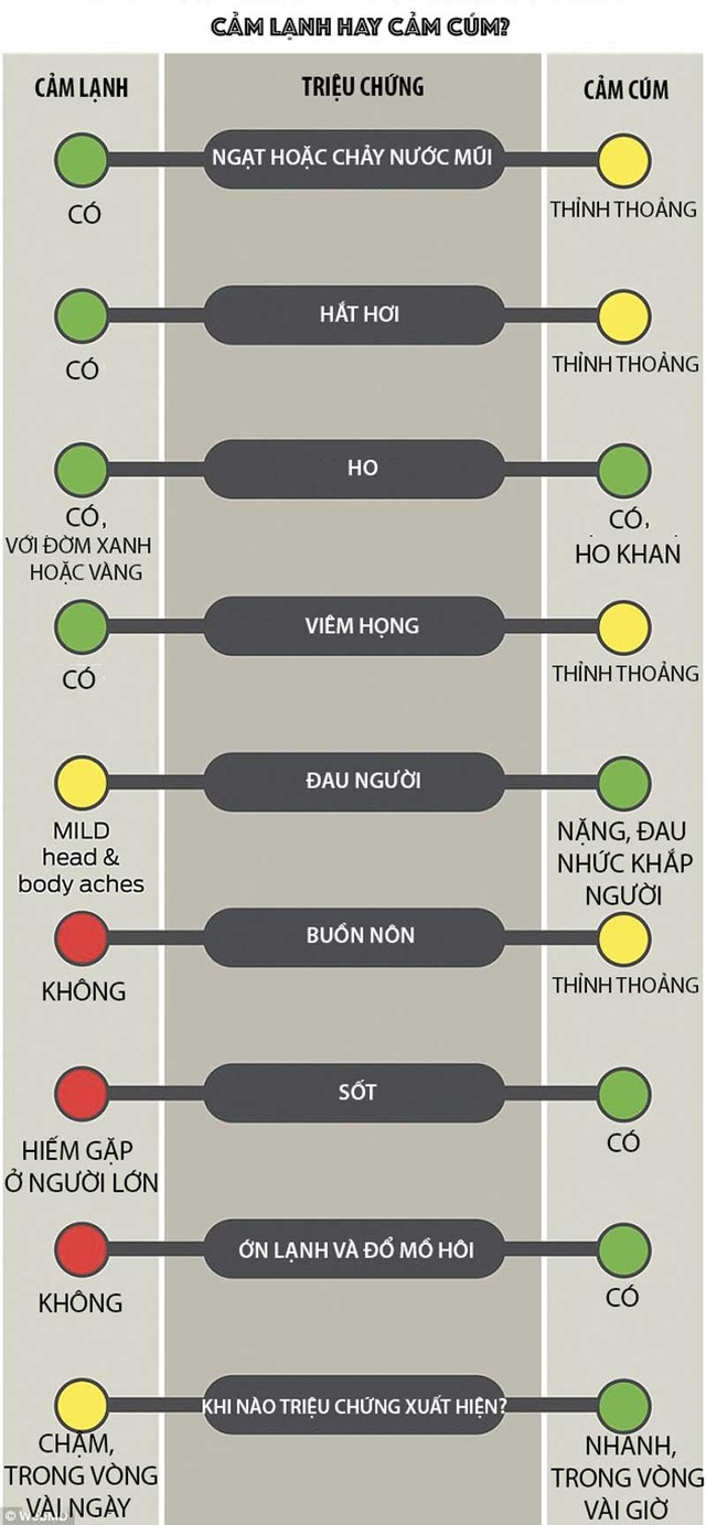 Hướng dẫn mới nhất bằng hình ảnh giúp phân biệt cảm lạnh với cúm? - Ảnh 2. Hướng dẫn mới nhất bằng hình ảnh giúp phân biệt cảm lạnh với cúm? - Ảnh 2.