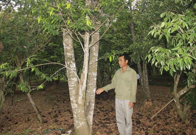 Gia đình khuyến học người Vân Kiều tiêu biểu miền sơn cước - 4 Gia đình khuyến học người Vân Kiều tiêu biểu miền sơn cước - 4