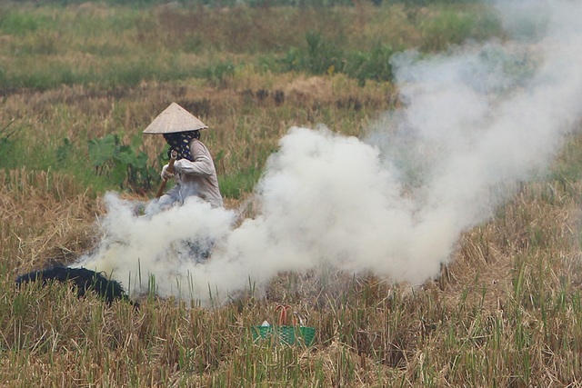 Khói đốt rơm rạ ngút trời ngoại thành Hà Nội - 6