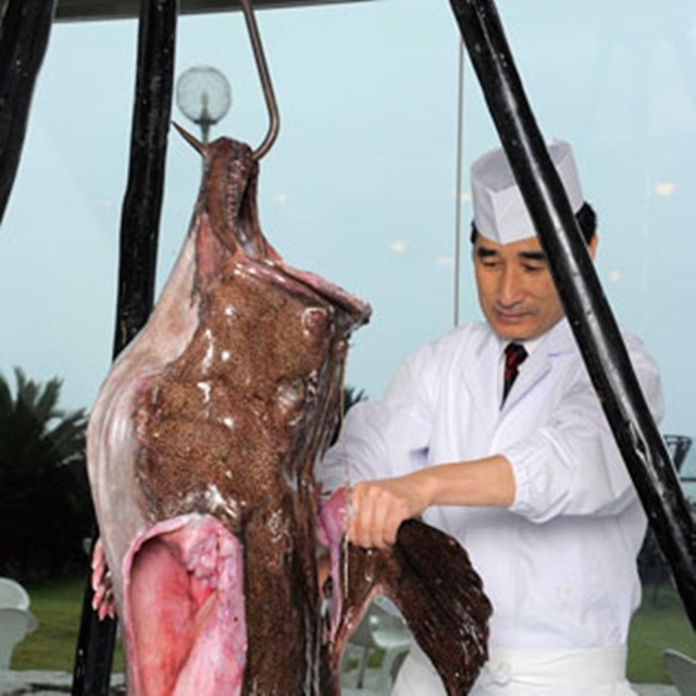 Con cá xấu như quỷ, răng sắc nhọn ghê người mà giá hơn 1 triệu đồng/kg - 2 Con cá xấu như quỷ, răng sắc nhọn ghê người mà giá hơn 1 triệu đồng/kg - 2