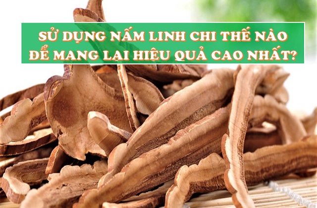 Công dụng và cách dùng nấm Linh Chi hiệu quả cao nhất qua tư vấn của chuyên gia! - 5 Công dụng và cách dùng nấm Linh Chi hiệu quả cao nhất qua tư vấn của chuyên gia! - 5