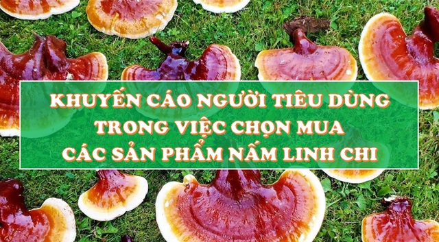 Công dụng và cách dùng nấm Linh Chi hiệu quả cao nhất qua tư vấn của chuyên gia! - 6 Công dụng và cách dùng nấm Linh Chi hiệu quả cao nhất qua tư vấn của chuyên gia! - 6