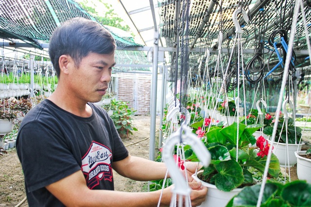 Đà Nẵng: Trồng hoa chậu mini công nghệ cao, kiếm bộn tiền - 2 Đà Nẵng: Trồng hoa chậu mini công nghệ cao, kiếm bộn tiền - 2