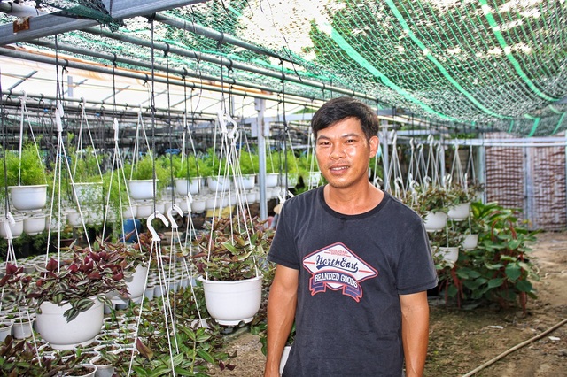 Đà Nẵng: Trồng hoa chậu mini công nghệ cao, kiếm bộn tiền - 3 Đà Nẵng: Trồng hoa chậu mini công nghệ cao, kiếm bộn tiền - 3