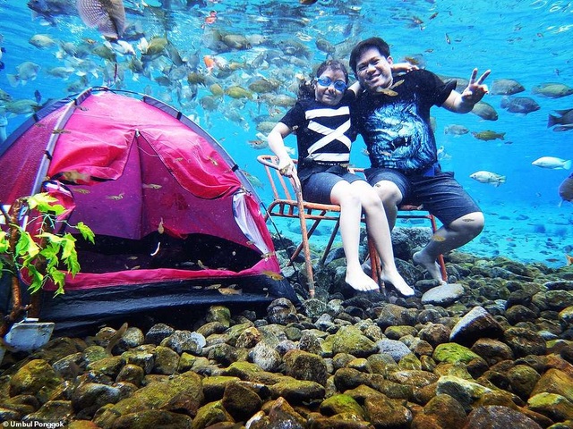 Ảnh chụp dưới nước độc đáo khiến khách nườm nượp kéo đến lặn ao làng ở Indonesia - Ảnh minh hoạ 4