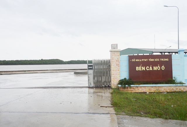 Tín hiệu vui ban đầu ở bến cá gần 50 tỷ từng khiến người dân thất vọng tại Sóc Trăng - 1 Tín hiệu vui ban đầu ở bến cá gần 50 tỷ từng khiến người dân thất vọng tại Sóc Trăng - 1