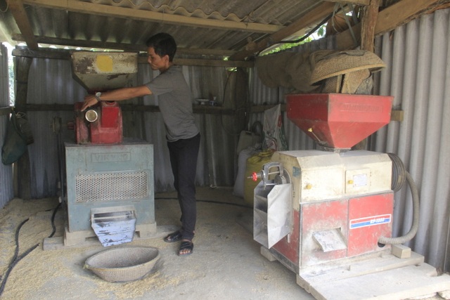 Vợ chồng trẻ Vân Kiều kiếm gần 150 triệu đồng/năm từ trồng rừng, nuôi dê - 4 Vợ chồng trẻ Vân Kiều kiếm gần 150 triệu đồng/năm từ trồng rừng, nuôi dê - 4