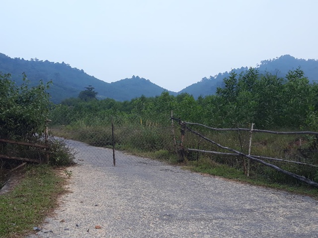 Cơ hội “gặm nhấm” khi khu tái định cư bị bỏ hoang nhiều năm - 7 Cơ hội “gặm nhấm” khi khu tái định cư bị bỏ hoang nhiều năm - 7