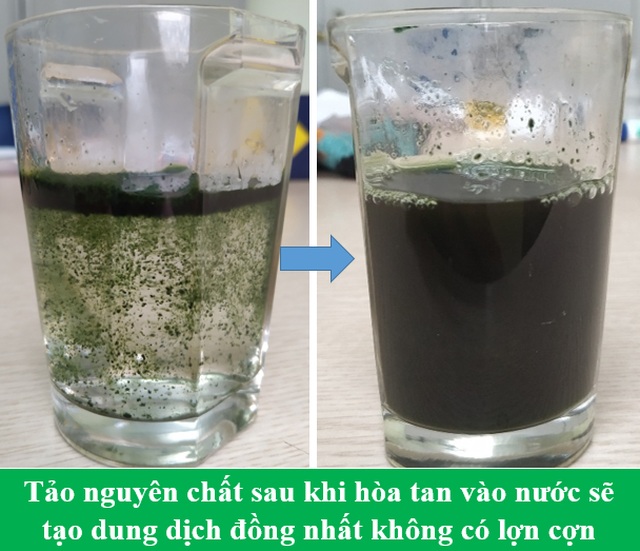 Vì sao tảo Spirulina được coi là “Thực phẩm bảo vệ sức khỏe tốt nhất của loài người trong thế kỷ 21”? - 8 Vì sao tảo Spirulina được coi là “Thực phẩm bảo vệ sức khỏe tốt nhất của loài người trong thế kỷ 21”? - 8