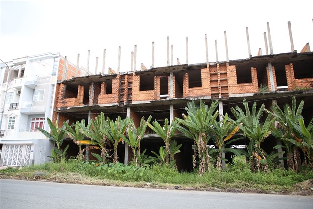 Cận cảnh “thành phố ma” trên đất vàng Tây Đô - 11 Cận cảnh “thành phố ma” trên đất vàng Tây Đô - 11