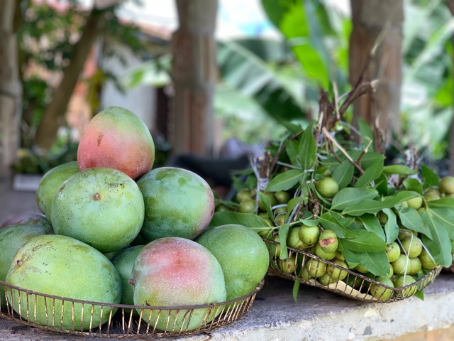Trải nghiệm khó quên của du khách Việt ở Cuba, hàng hóa khan hiếm và đắt đỏ - 8 Trải nghiệm khó quên của du khách Việt ở Cuba, hàng hóa khan hiếm và đắt đỏ - 8