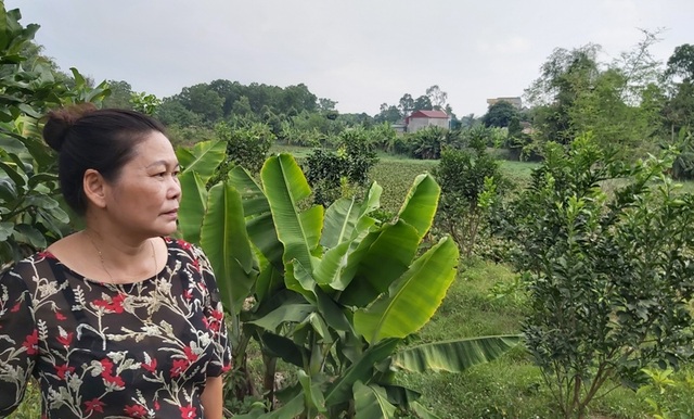Chuyện lạ tại Thanh Hoá: Chủ đầu tư khốn đốn vì quy hoạch đất bị “đổ nhầm mầu mực” - 1 Chuyện lạ tại Thanh Hoá: Chủ đầu tư khốn đốn vì quy hoạch đất bị “đổ nhầm mầu mực” - 1