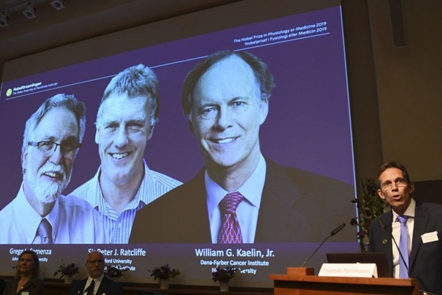 Nobel Y học 2019 mở đường cho phương pháp mới điều trị ung thư - 1 Nobel Y học 2019 mở đường cho phương pháp mới điều trị ung thư - 1