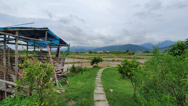 rang trai cua su toan rang trai cua su toan