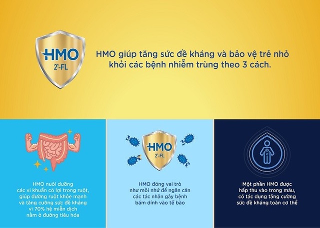 Mẹ yên tâm nuôi con lớn khỏe nhờ sự hỗ trợ của HMO - 2 Mẹ yên tâm nuôi con lớn khỏe nhờ sự hỗ trợ của HMO - 2