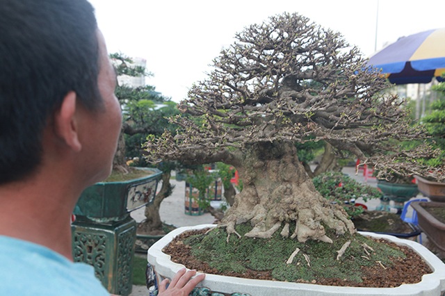 Choáng ngợp bộ 3 mai chiếu thủy giá 5 tỷ đồng lần đầu xuất hiện - 3 Choáng ngợp bộ 3 mai chiếu thủy giá 5 tỷ đồng lần đầu xuất hiện - 3