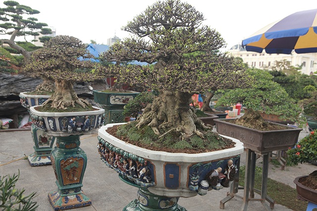 Choáng ngợp bộ 3 mai chiếu thủy giá 5 tỷ đồng lần đầu xuất hiện - 4 Choáng ngợp bộ 3 mai chiếu thủy giá 5 tỷ đồng lần đầu xuất hiện - 4
