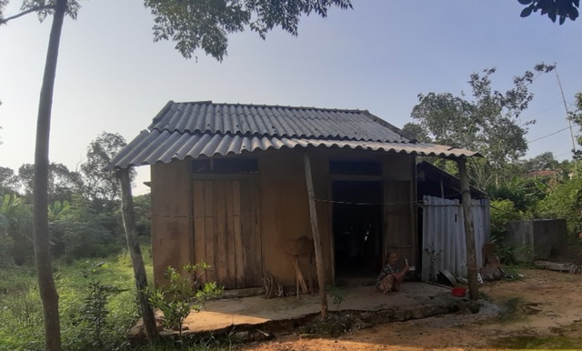 Oái oăm chuyện các cụ già không còn sức lao động được tặng bò để… thoát nghèo - 2 Oái oăm chuyện các cụ già không còn sức lao động được tặng bò để… thoát nghèo - 2
