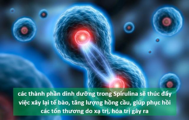 Những tác dụng ngạc nhiên của vi tảo Spirulina trong phòng và điều trị ung thư - 6