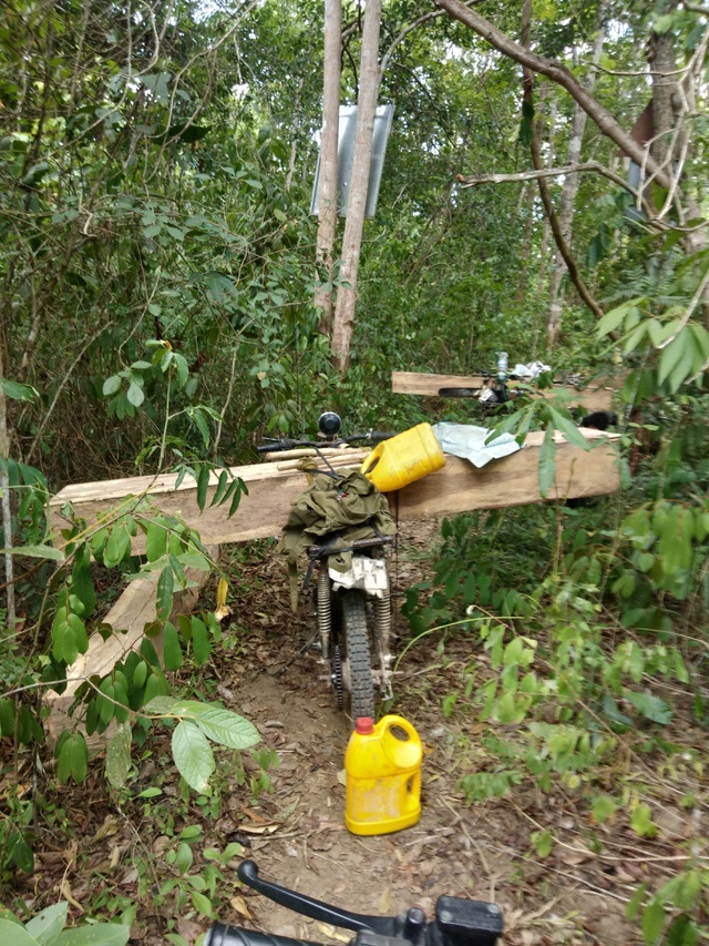 Khởi tố vụ án sau loạt bài “Tiếng thét đau đớn của rừng xanh Tây Nguyên”! - 4 Khởi tố vụ án sau loạt bài “Tiếng thét đau đớn của rừng xanh Tây Nguyên”! - 4