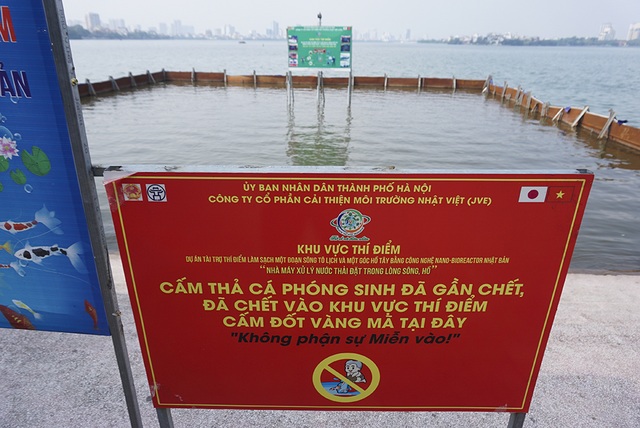 Sau 1 tháng, đàn cá Koi tại sông Tô Lịch bây giờ ra sao? - 1 Sau 1 tháng, đàn cá Koi tại sông Tô Lịch bây giờ ra sao? - 1
