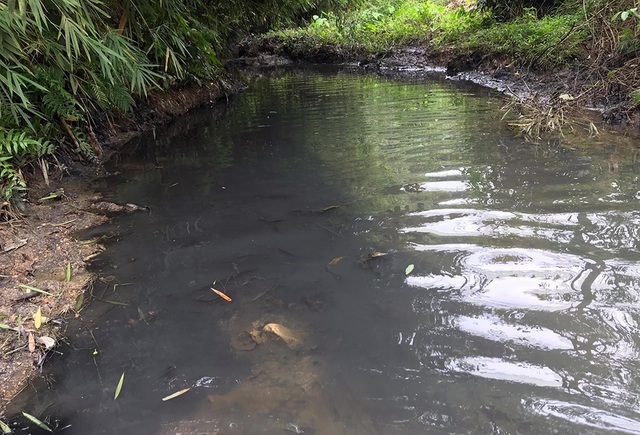 Triệu tập một số người liên quan vụ đổ trộm dầu thải gây ô nhiễm nước sông Đà - 1