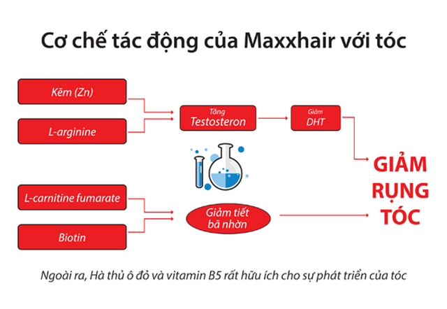 Có công nghệ hoặc sản phẩm chăm sóc tóc đặc biệt dành cho người đàn ông bị rụng tóc hói không?
