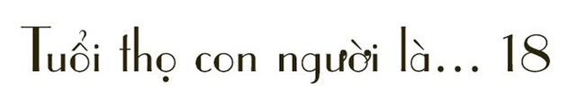 Cô giáo một thập kỷ ở lớp học trò qua đời, cô vẫn phải mỉm cười - 14 Cô giáo một thập kỷ ở lớp học trò qua đời, cô vẫn phải mỉm cười - 14