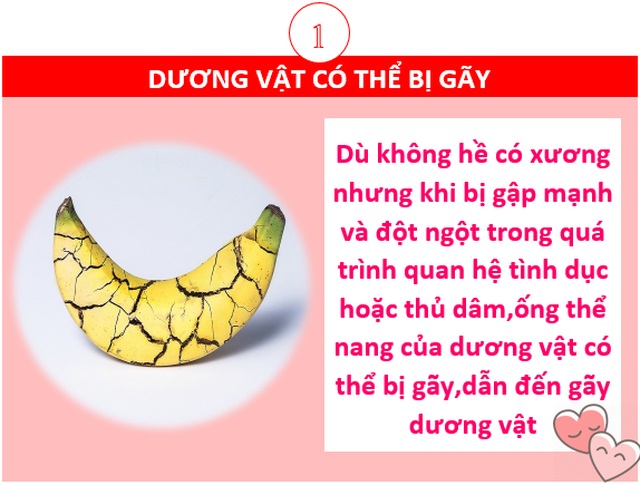 “Há hốc mồm” với những sự thật kì lạ về…chuyện ấy - 1 “Há hốc mồm” với những sự thật kì lạ về…chuyện ấy - 1