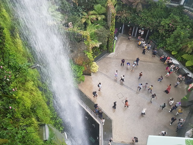 Rừng đám mây Singapore.jpg Rừng đám mây Singapore.jpg