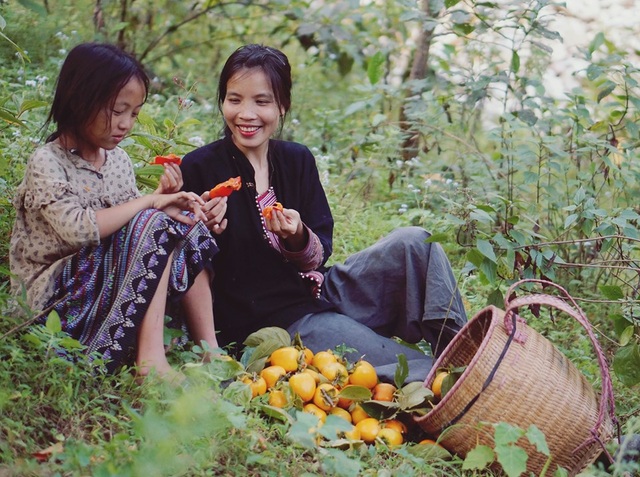 Cuộc sống bình yên, không cần đến tiền của cô gái Đắk Lắk “bỏ phố về rừng” - 1 Cuộc sống bình yên, không cần đến tiền của cô gái Đắk Lắk “bỏ phố về rừng” - 1