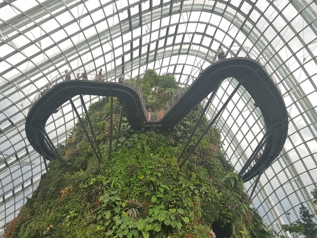 Rừng đám mây Singapore.jpg Rừng đám mây Singapore.jpg