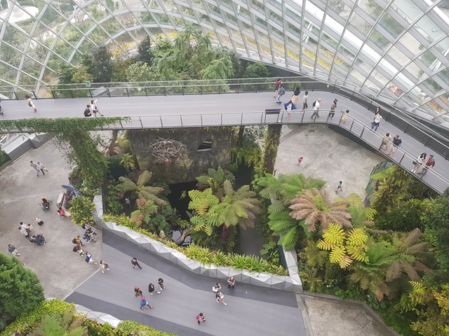 Rừng đám mây Singapore.jpg Rừng đám mây Singapore.jpg