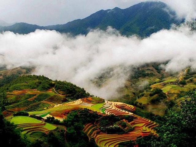 Du lịch Sapa cùng dịch vụ xe hoàn hảo của Hà Sơn Hải Vân - 1 Du lịch Sapa cùng dịch vụ xe hoàn hảo của Hà Sơn Hải Vân - 1