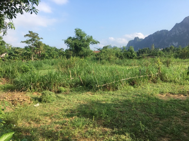 Hàng ngàn m2 đất nông nghiệp được “ưu ái” để chuyển đổi thành đất ở? - 1 Hàng ngàn m2 đất nông nghiệp được “ưu ái” để chuyển đổi thành đất ở? - 1